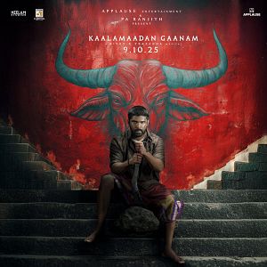 Bilder Bison Kaalamaadan