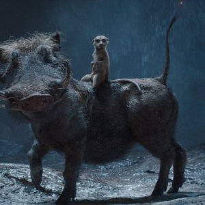 Bilder Mufasa: Der König der Löwen