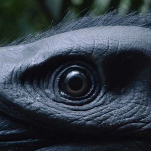 Bilder Loop Track - Am Ende lauert der Tod