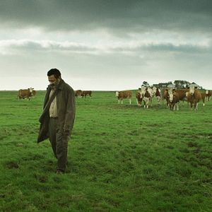 Bilder Georges Khabbaz