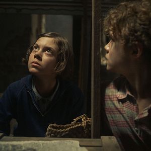 Bilder Bojtorján Barabas