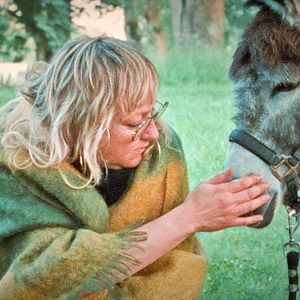 Bilder Donkey Days
