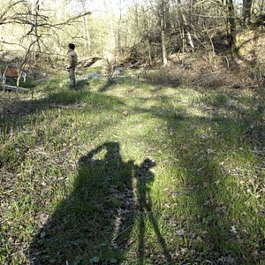 Bilder While The Green Grass Grows (Parts 1+6)