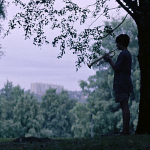 Bilder Handling The Undead