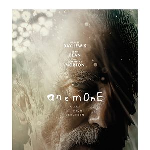 Bilder Anemone