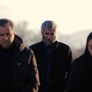 Bilder Roya