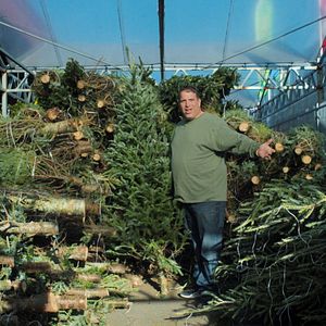 Bilder The Merchants Of Joy