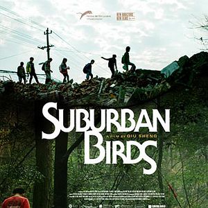 Bilder Jiao qu de niao