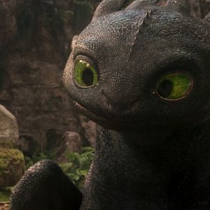 Bilder Drachenzähmen leicht gemacht