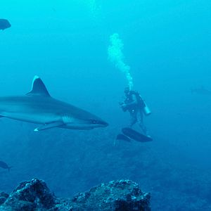 Bilder Segeljungs - Mit Null Ahnung um die Welt