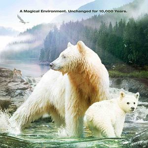 Bilder Great Bear Rainforest