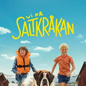 Bilder Unsere Ferien auf Saltkrokan