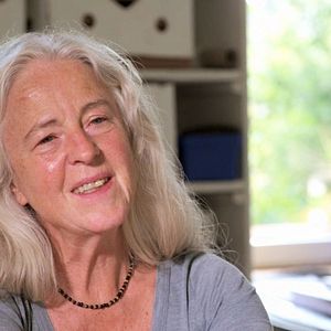 Bilder Die Treibende Kraft