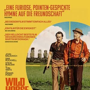 Bilder Wild Horse Nine