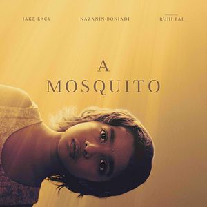 Bilder A Mosquito In The Ear