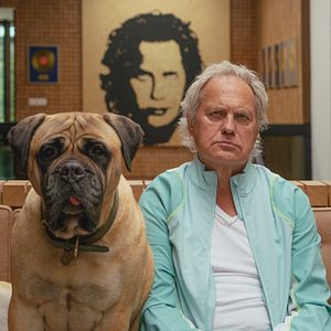 Bilder Die Ironie des Lebens