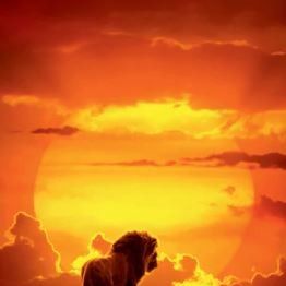 Bilder Der König der Löwen