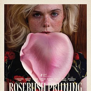 Bilder Rosebush Pruning