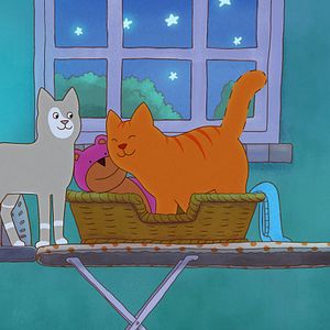 Bilder Tommy Tom - der verschwundene Teddybär