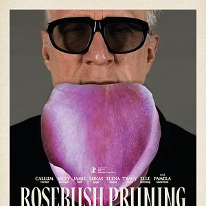 Bilder Rosebush Pruning