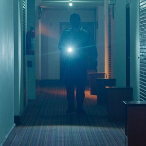 Bilder Creepy Crawly