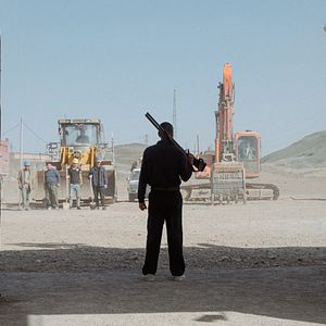 Bilder Black Dog - Weggefährten