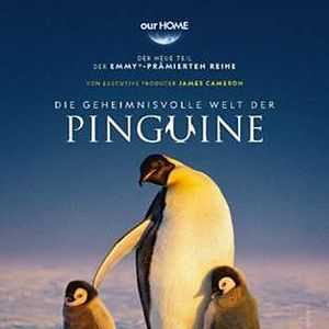 Bilder Die geheimnisvolle Welt der Pinguine