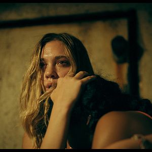 Bilder Flycatcher - Survival Has Its Price