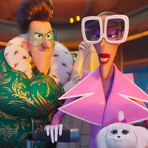 Bilder Ich - Einfach unverbesserlich 4