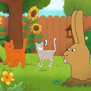 Bilder Tommy Tom - der verschwundene Teddybär