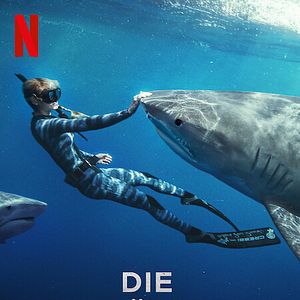 Bilder Die Haiflüsterin