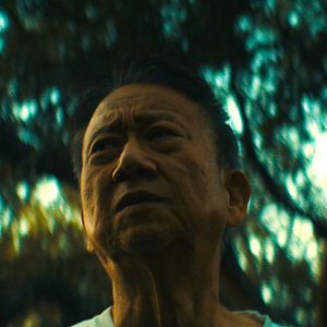 Bilder Starring Jerry As Himself