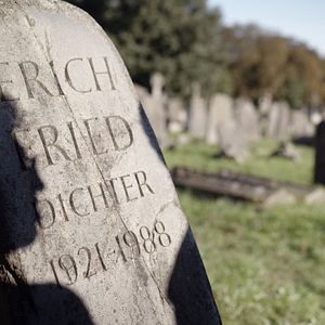 Bilder Friendly Fire - Erich Fried