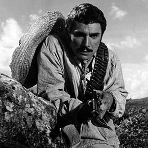 Bilder Haut für Haut