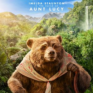 Bilder Paddington in Peru