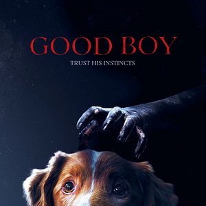Bilder Good Boy - Trust His Instincts