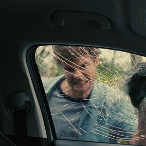 Bilder Companion - Die perfekte Begleitung