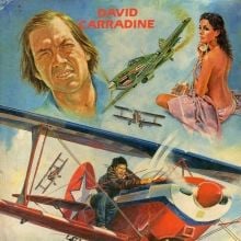 Bilder Mad Pilot ...die Wahnsinnsflieger