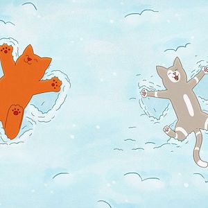 Bilder Tommy Tom - ein neuer Freund für Tommy Tom