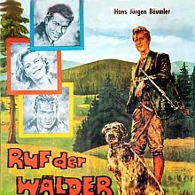 Bilder Ruf der Wälder