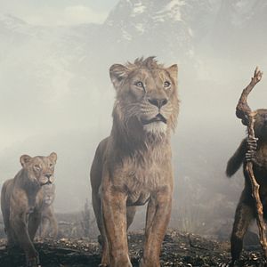 Bilder Mufasa: Der König der Löwen