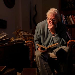 Bilder Eine Gorilla-Story erzählt von David Attenborough