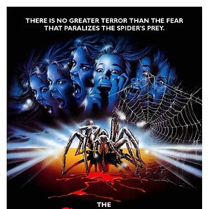 Bilder Spider Labyrinth - In den Fängen der Todestarantel