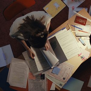 Bilder Noch lange keine Lipizzaner