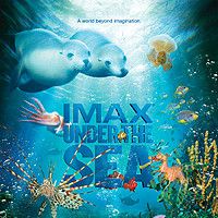 Bilder Under The Sea