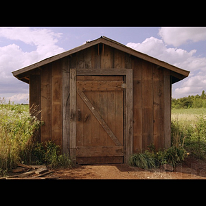 Bilder The Shed