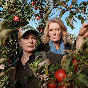 Bilder Tatort: Letzte Ernte