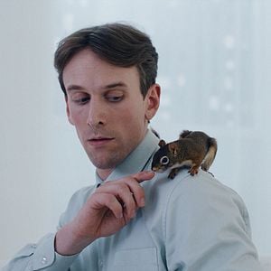 Bilder Das Eichhörnchen