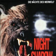 Bilder Night Shadow