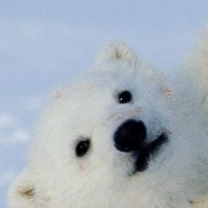Bilder Ice 